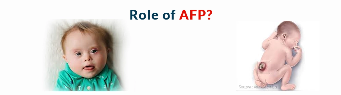 Role of AFP